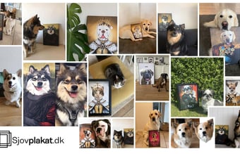 Partner søges til sjovplakat