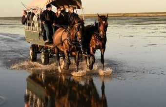 Mandø Event – helt sin egen og i kolossal udvikling Sælges til en ny generation af passionerede outdoor mennesker