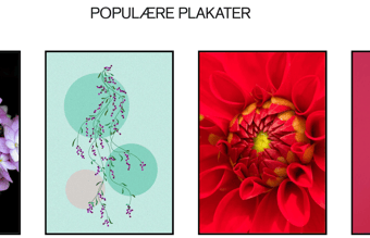 Dropshipping plakatwebshop med stort sortiment 