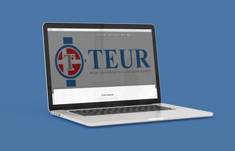 shop.teur.dk - Passiv dropshipping webshop med accessories