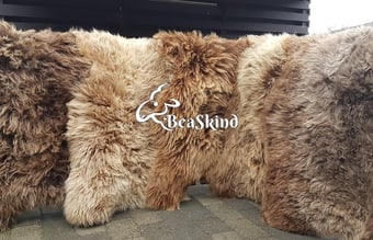 Webshop med salg af skindprodukter med omsætning på ca. 250.000-400.000 kr. per år.