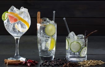 Velfungerende gin og tonic webshop med flotte tal, et uforløst potentiale og gode udviklingsmuligheder