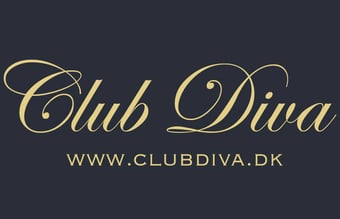 Clubdiva.dk - Webshop med modetøj og 39.000 Facebook følgere - Løn på ca. 24.000 kr. pr. måned
