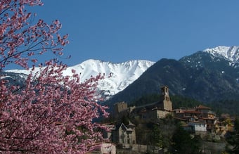 Danskejet fransk temaferie og adventure koncept med ejendom til salg