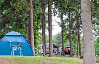 Forpagtning af moderne campingplads i midtjylland med stabil omsætning og indtjening