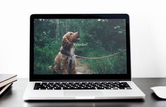 Charlietiptoe.com - Eksklusivt hundeudstyr sælges - Omsætning på 42.000 kr.