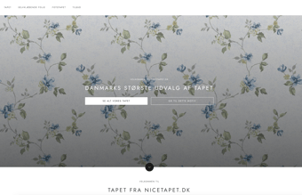 10 år gammel webshop med fast omsætning sælges billigt