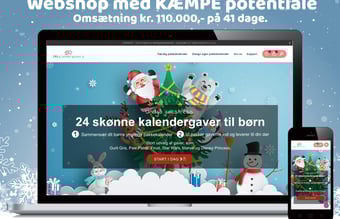 Niche webshop m. omsætning på 110.000 kr. på blot 41 dage. 