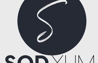 Sodyum.dk - Sælger drikkevarer til grænsepriser - omsætning på 300.000 kr. om året 