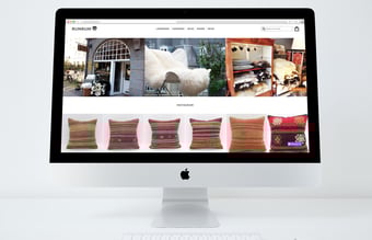 Engros og webshop med lammeskind og hjemmesko med høj avance. Overskud før skat: 300.000 kr.