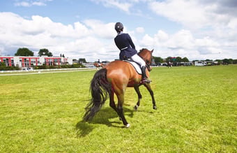 Veletableret ridesport webshop med verdenskendt brand sælges