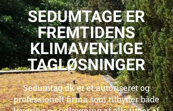 Sedumtag.dk