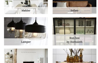 Webshop med salg af møbler og Interiør med overskud de sidste 8 år. 