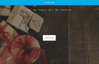 Dropshipping butik med omsætning