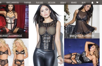 Kørende webshop med omsætning på +0.5 mill 2017 og månedligt overskud!