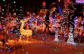 Nu har du muligheden for et købe et af det bedste Navne indenfor Julesalget incl. webshop