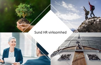 Sund HR virksomhed til salg - Omsætning på 2.276.000 DKK i 2022 - Overskud før skat: 633.000 DKK