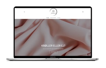 Steamly.dk | Webshop med salg af Steamers med dropshipping leverandør i EU | 100% køreklar