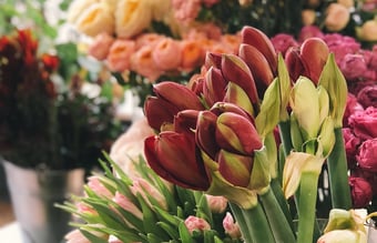 Blomsterforretning - Medlem af Interflora & Overskud på kr. 1.000.000