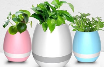 Stilren niche webshop - Multifunktions produkt med mange muligheder.