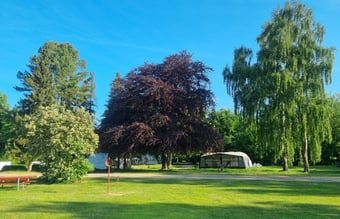 Vicevært -forpagter-bestyrer på Campingplads