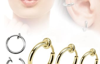 DK's førende piercing webshop, 20% overskudsgrad 