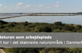 Privat botilbud til salg