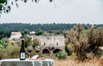 Online vin og deli butik til salg