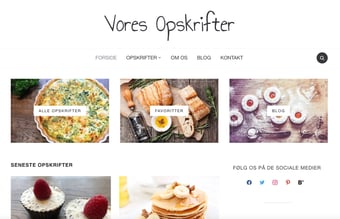 Madblog med 95.000 organiske besøg år til dato