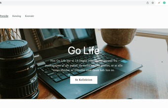 Køreklar dropshipping webshop sælges