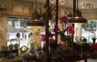 Rigtig god blomsterbutik