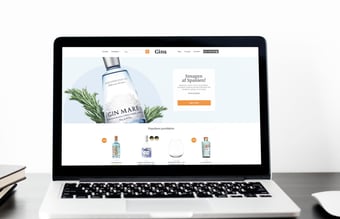 gins.dk - Webshop med gin med mulighed for dropshipping - Omsat for +40.000DKK maj måned 