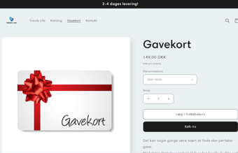 Professionel dropshipping webshop - udviklet af E-com+