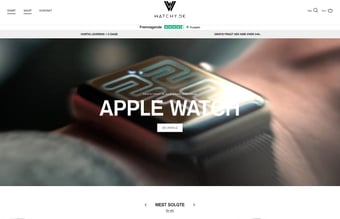 Webshop med omsætning på 466.838 kr - varelager inkl. i prisen