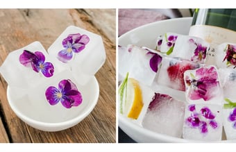 Webshop Nice Cubes - Isterninger med personlighed - til salg