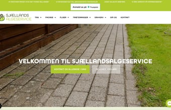 Fliserens, tagrens, facaderens tagmaling, algebehandling - Omsætning på 100.000 kr. i første halvår af 2023