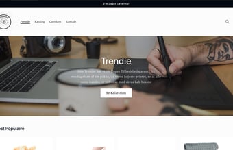 Salgklar webshop TRENDIE.DK - Perfekt til dig som ønsker at starte din egen dropshipping rejse 
