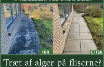 Super tilbud. Bliv selvstændig for få penge (200.000Kr.) + Moms.