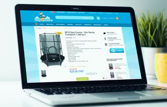 Dropshipping inden for legetøj og sportsudstyr. 2,5 mio omsætning og 65% organisk trafik