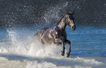Rengøringsfirma på Fyn med speciale indenfor tekniske beklædninger - Omsætning 400.000 DKK