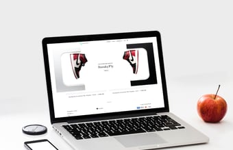 Super webshop med et unikt niche produkt - www.sneakyfly.dk
