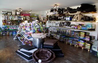 Dyrebutik til salg i Allerød - Omsætning i forrige regnskabsår ca. DKK 850.000