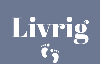 Webshop (babyudstyr) til salg - Omsætning 2022  348.000. inkl. moms - brutto avance 150.000 kr 