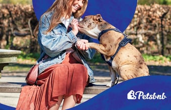 Petsbnb - en platform for pasning af kæledyr for dyreejere og dyrepassere