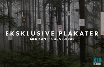 Plakat webshop - gode aftaler og lave faste udgifter - Omsætning i 2021/2022 på 284.000 kr.