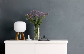 Webshop med vækst på 55% hver måned sidste fire måneder