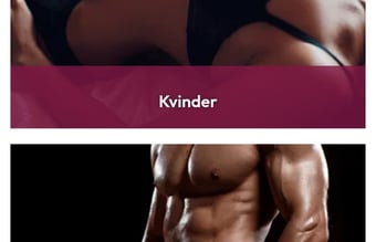 Sexshop med en af branchens billigste indkøbsaftaler og fjernlager med overnat levering