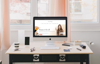 3 x Dropshipping webshops med salg i hele Europa - Omsætning åtd. +170.000 kr. 