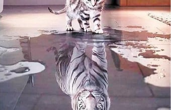 Paint by numbers webshop (Dropshipping)