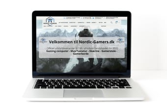 Gaming webshop med omsætning på 2.2 mio på 16 måneder